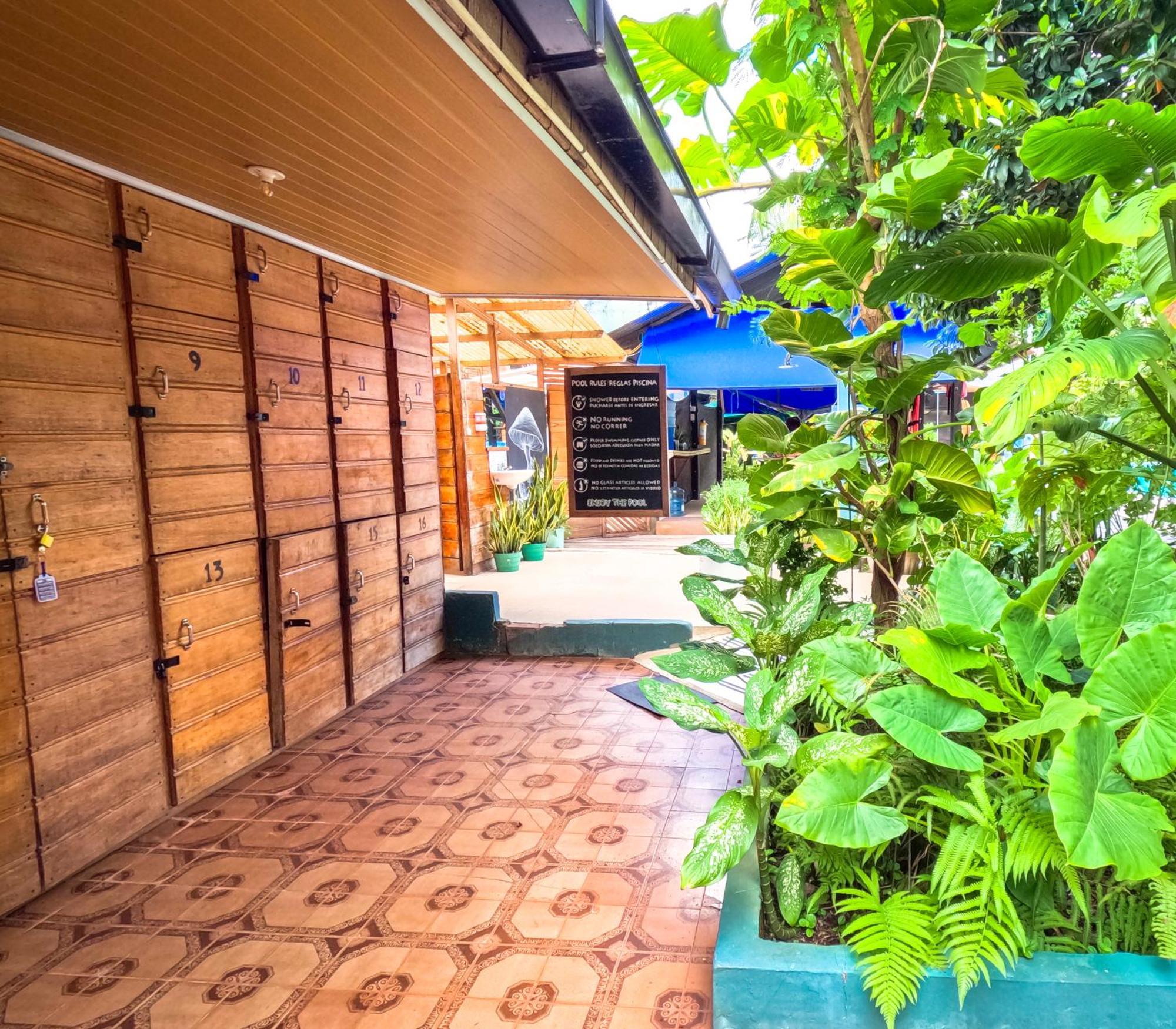 Hostel Casa De Las Palmas Tours Leticia Eksteriør billede