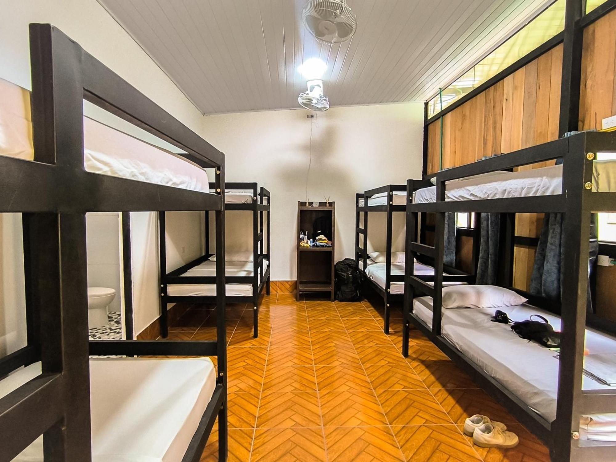 Hostel Casa De Las Palmas Tours Leticia Eksteriør billede